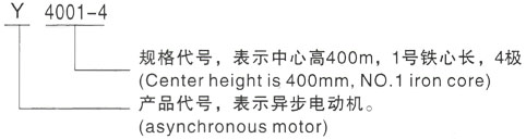 西安泰富西玛Y系列(H355-1000)高压YKK5002-8/450KW三相异步电机型号说明