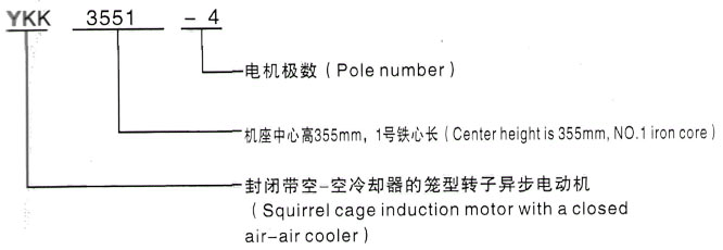 YKK系列(H355-1000)高压YKK5002-8/450KW三相异步电机西安泰富西玛电机型号说明